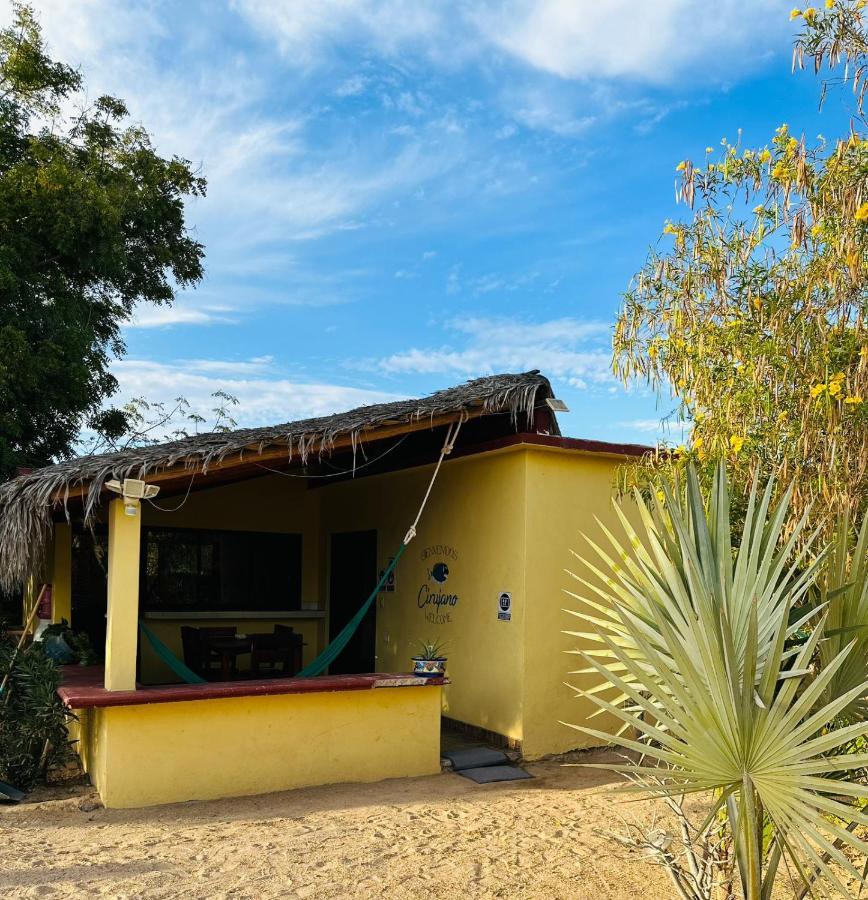 Bungalow Cirujano Leilighet Cabo Pulmo Eksteriør bilde